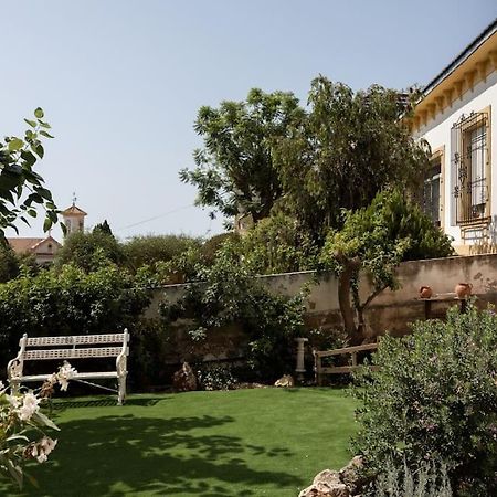 Estudio Morera Malaga Luaran gambar